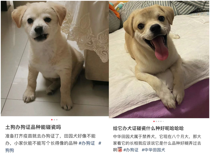 175903bapfuzaim6lhb2me.png