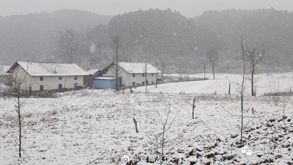 175921uwu5rcoqubswsrzr.jpeg