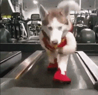 180145p8l8zmzcpc343e0z.gif