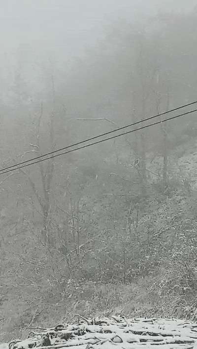 172242fideopdrdt9m9mtr.gif