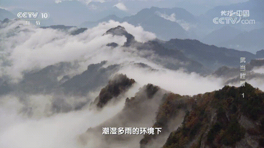 180029tprcjn1jg14av4va.gif