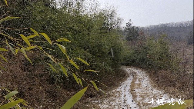 163813h14nxrcqdj4j8znh.gif