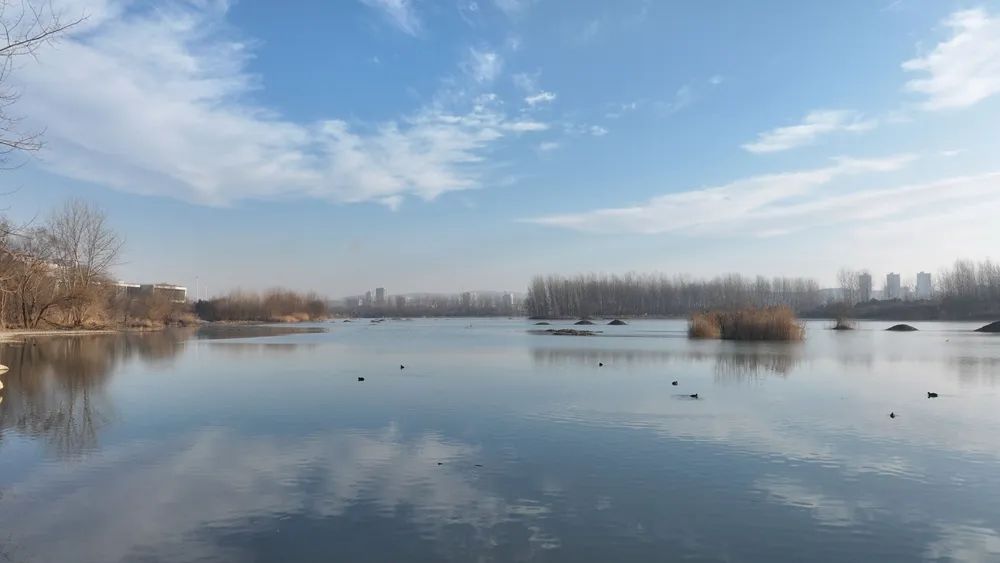 165605xvff3qa9j7543fvz.jpeg