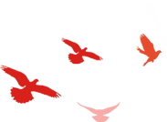 084235jsaa7oauksarzfld.png