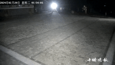 141159qohfosvfxt4vutfc.gif