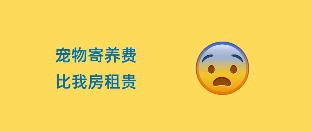 165135ywxb2dnbpzblbnbl.png