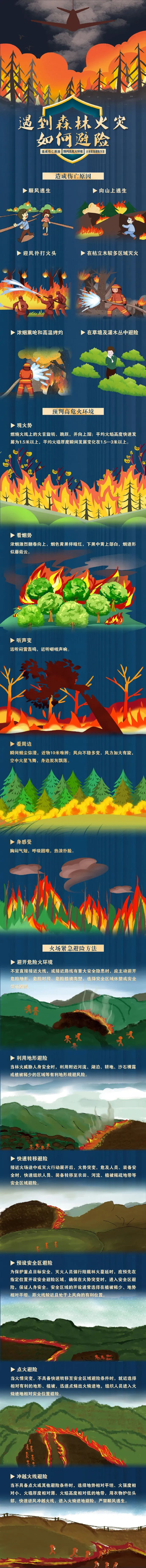 140435zl90ffw6zao6ogf0.png