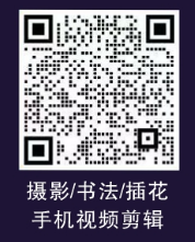171809voxvod7p2272dao7.png
