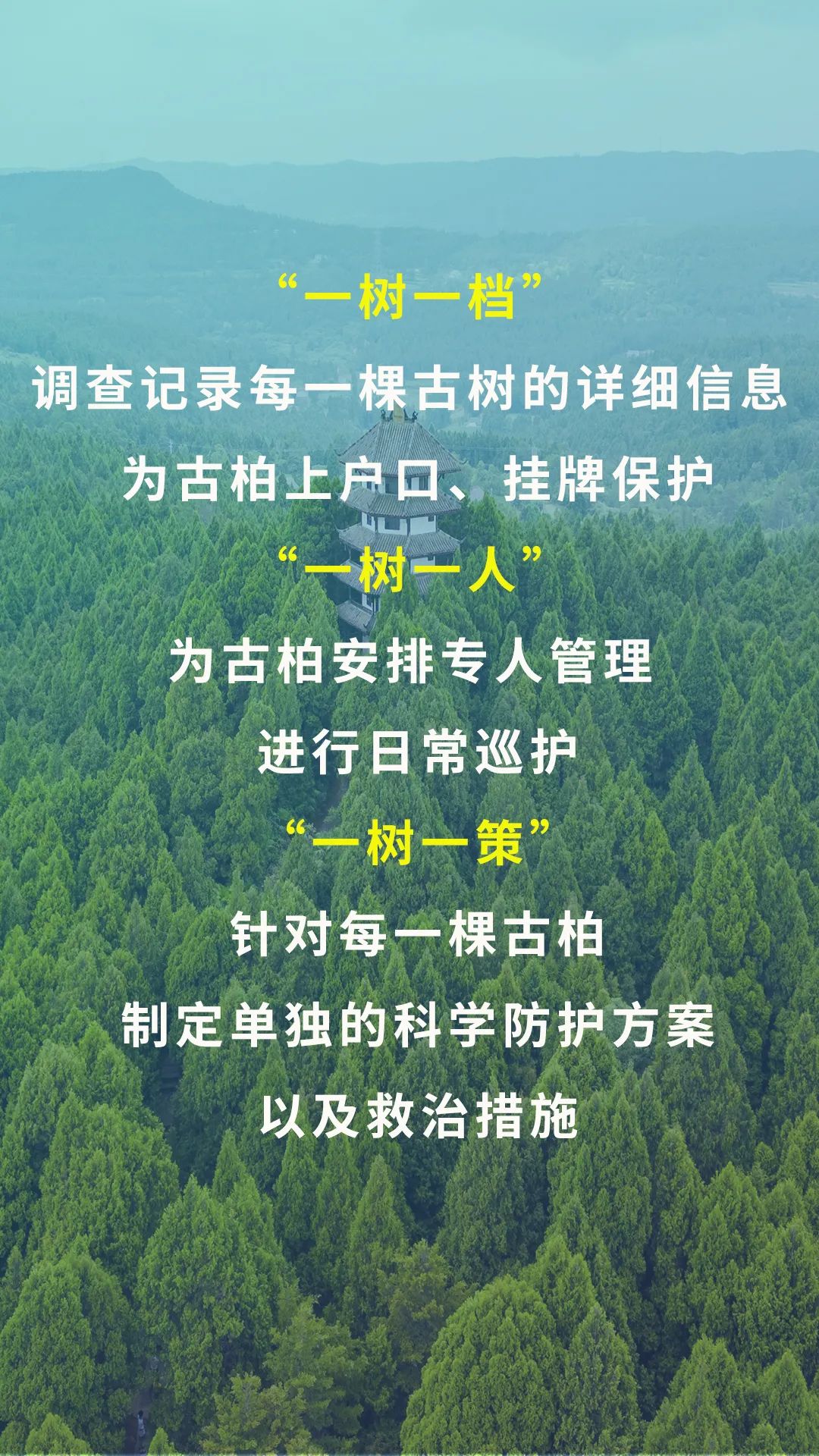 095621e4bdr879876oa48r.jpeg