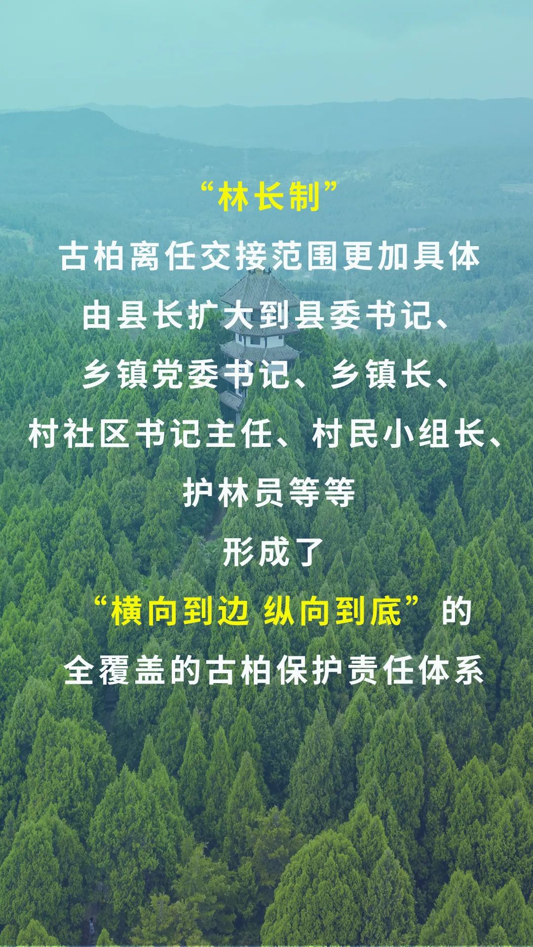 095621x2f24121os23fubb.jpeg