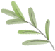 171236tfz5gagsaz3zd23h.png
