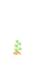 170626pz2z572e2uwz22zx.gif