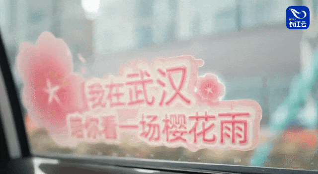 094027ovd3nk84gxe8wbzp.gif
