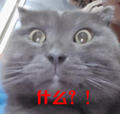 141731afnpff1faz1lhzsz.gif