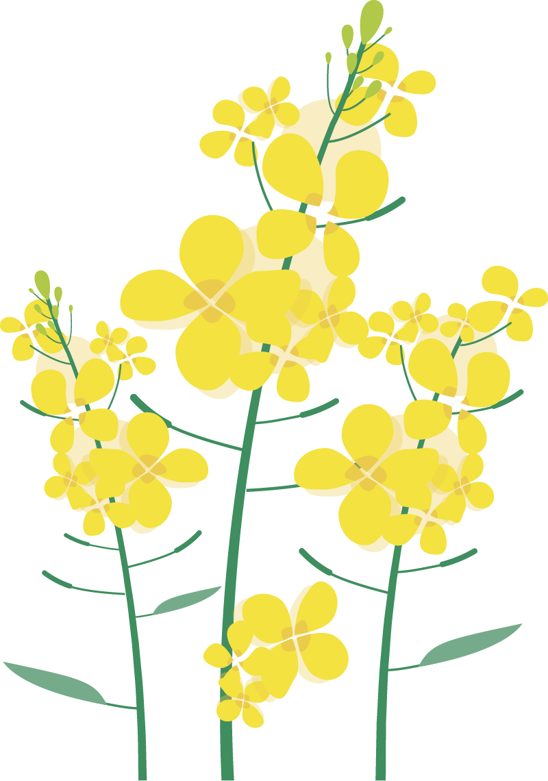 161755rm9z9jr41rdgxdfj.png
