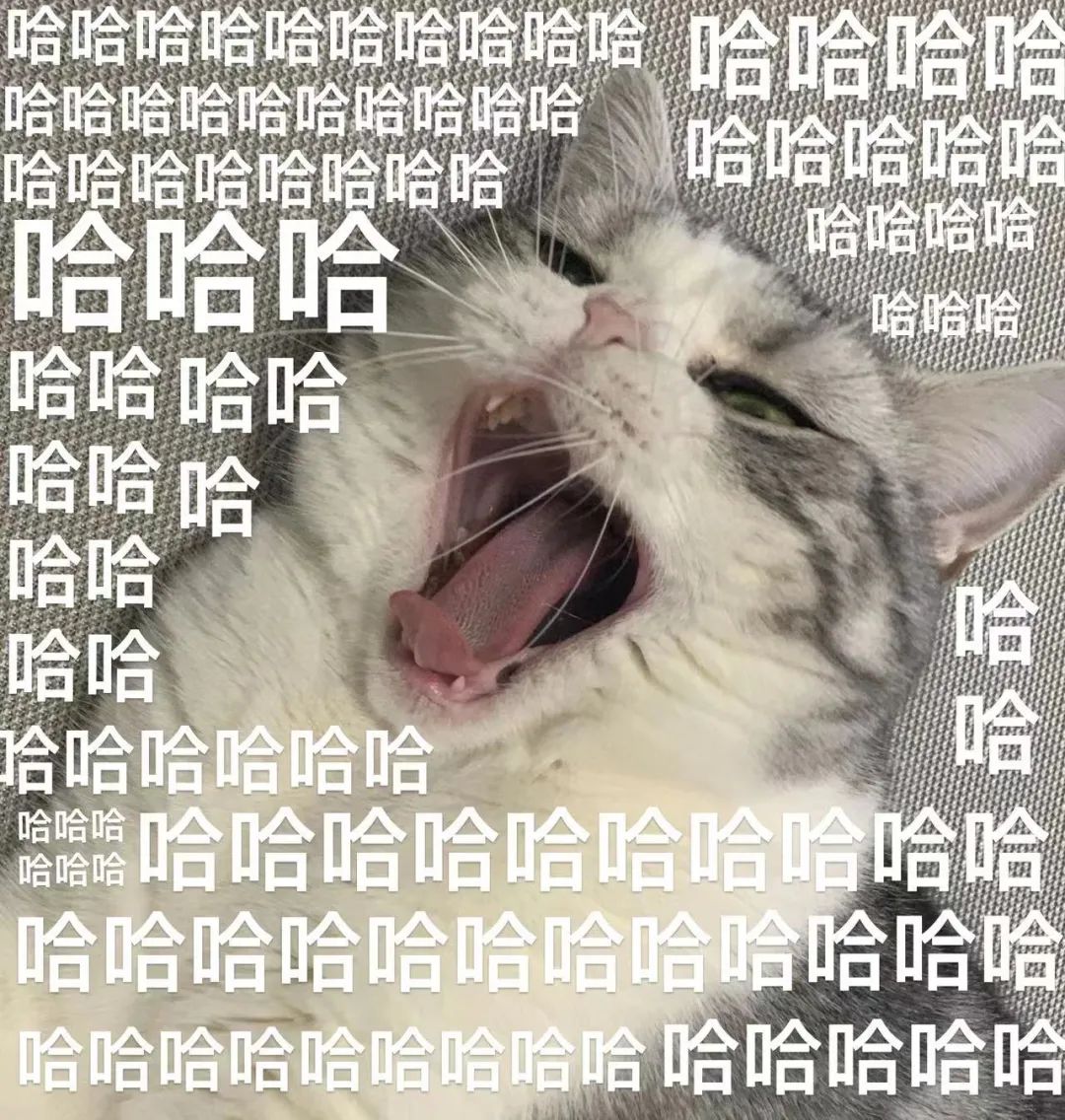 145639ihejeg607ibz093h.jpeg