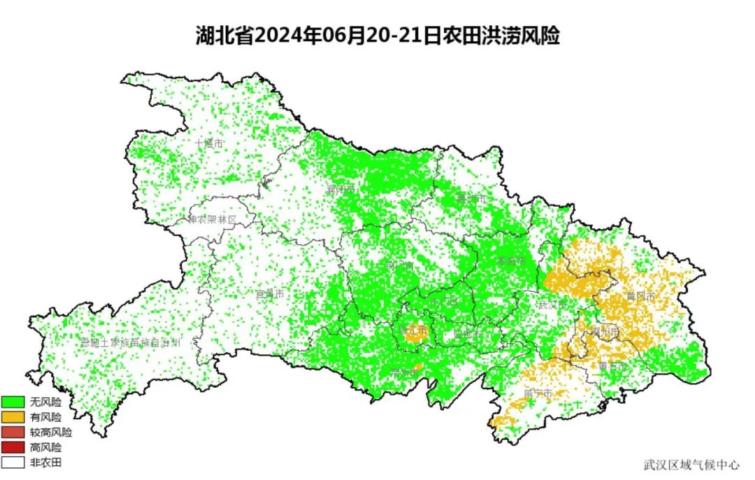 171631c0d20j29dojjs2cp.jpeg