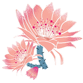 175600t8bsrv7jlguaxlvu.png