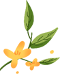 160839g2vfqfxepcqc4paa.png