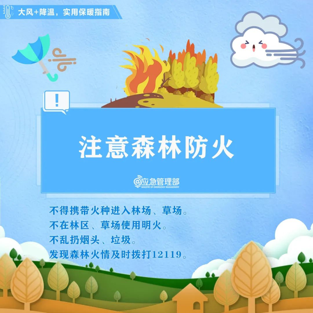 172820xtk41lf66ujlu6pf.jpeg