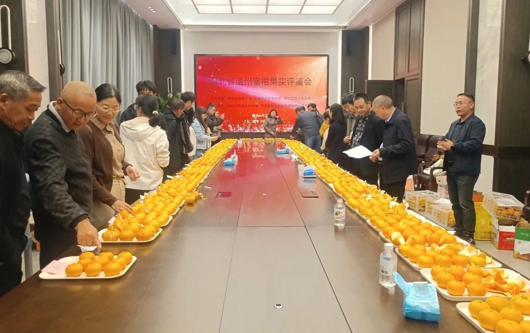 祝贺！丹江口柑桔再获殊荣