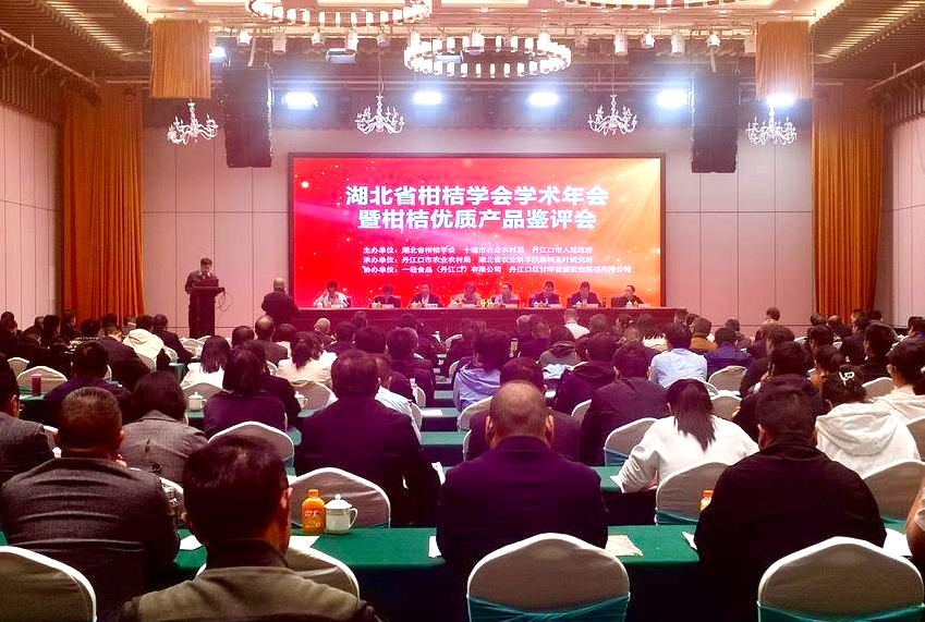 祝贺！丹江口柑桔再获殊荣