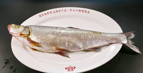 丹江口这个特产列入全国百强！