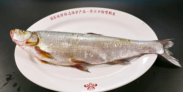 丹江口这道菜，好吃到上央视→