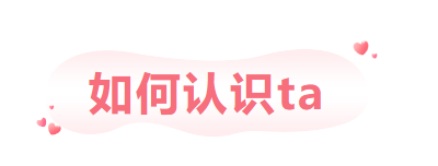 161059mgsaggszst536z5j.png