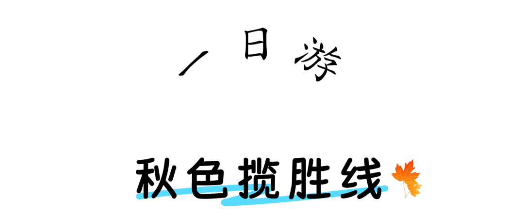 双节去哪旅游？丹江口版定制旅游线路已就位~