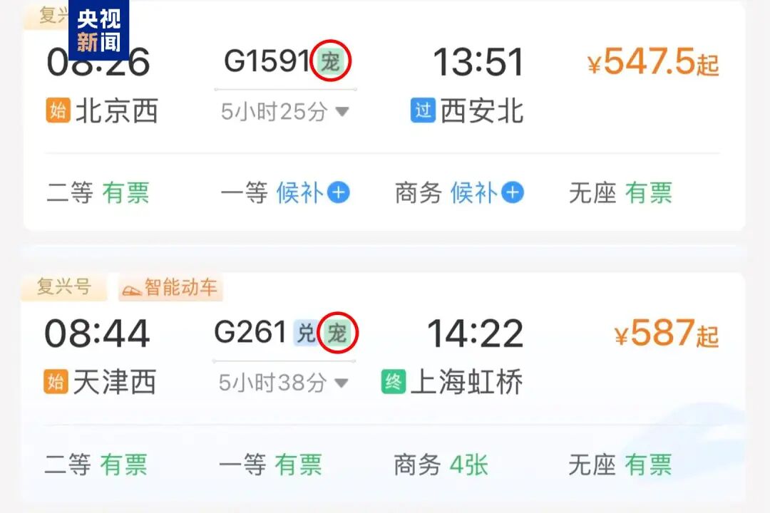 12306购票页面出现“宠”字，咋回事？