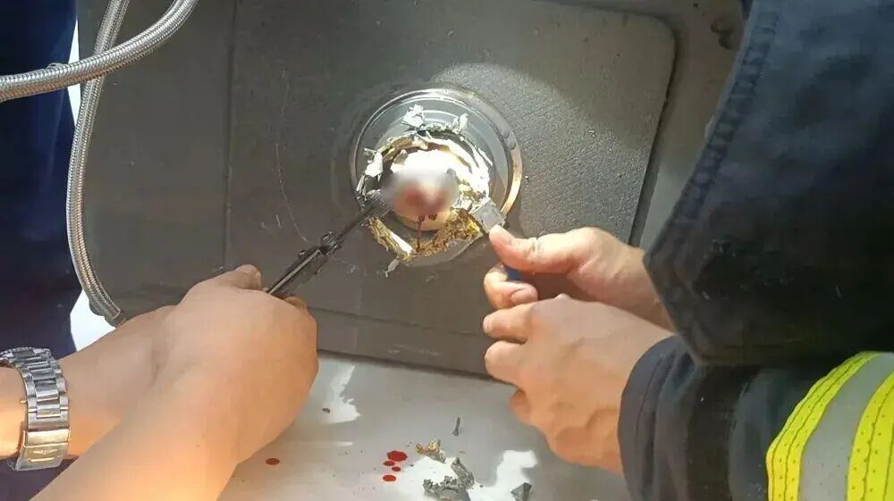 厨房这个地方锋利如刀片，千万别把手伸进去！