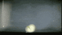 151602xrigmicomsfifowj.gif