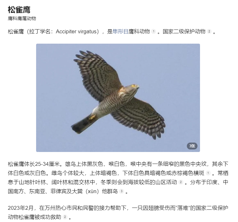 国家二级保护动物，又来丹江口这里做客了！