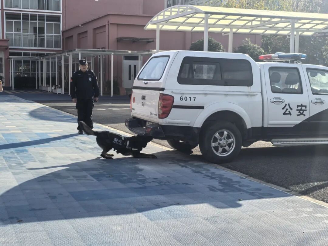 警犬“汪汪队”来啦！反诈禁毒安全课又萌又硬核