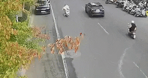 174403wp41p7ew4ipwl5sb.gif