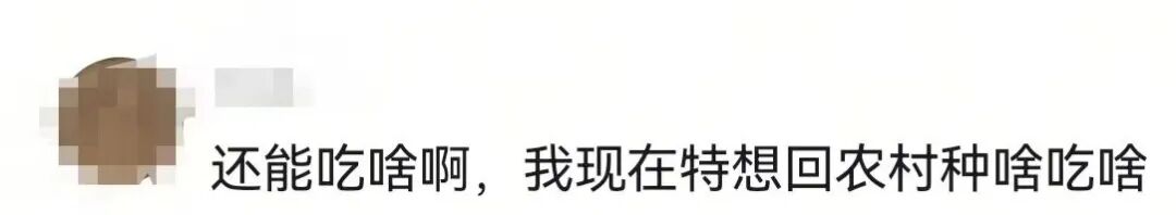 致癌的“激素鸡蛋”又来了？真相如何，记者调查→