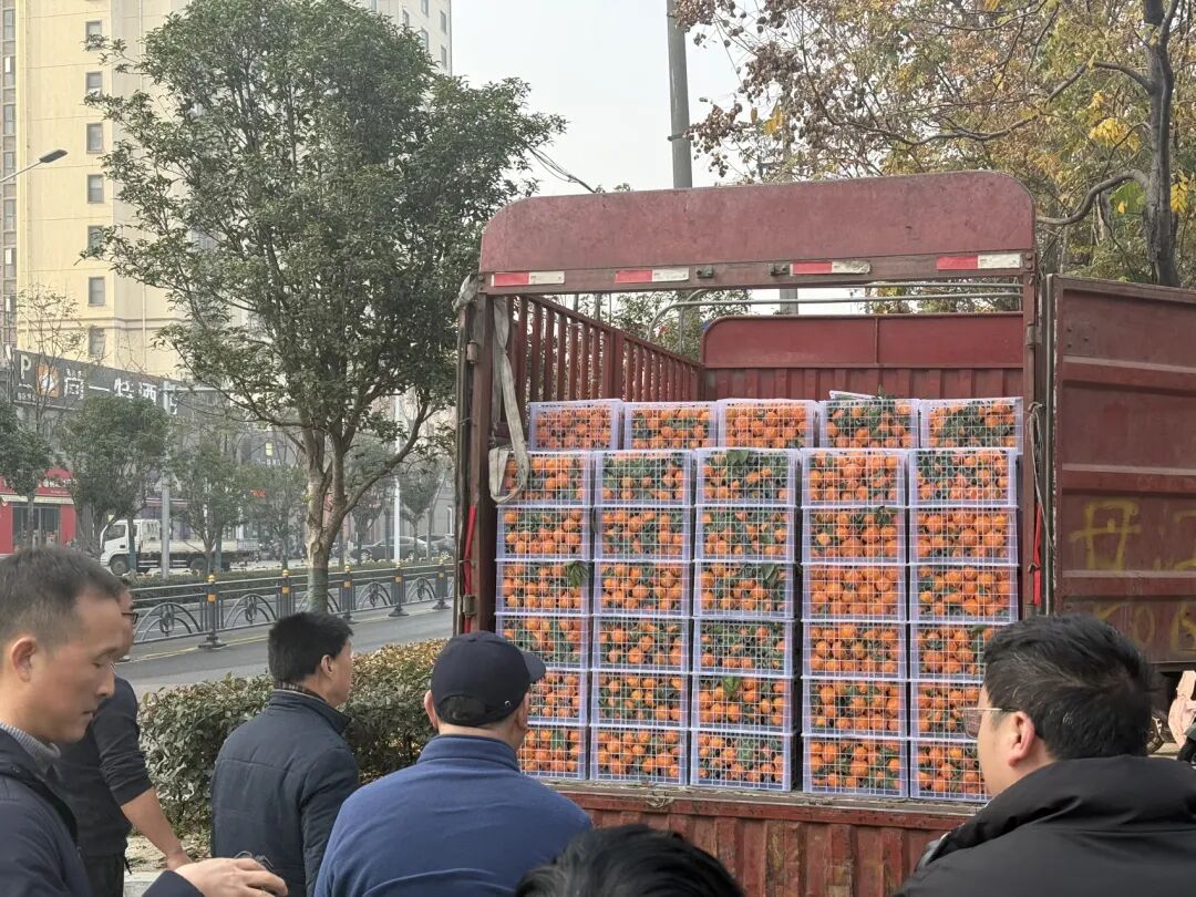 棋艺高超获嘉奖！丹江口武当蜜桔，送给襄阳、邓州的象棋高手们～