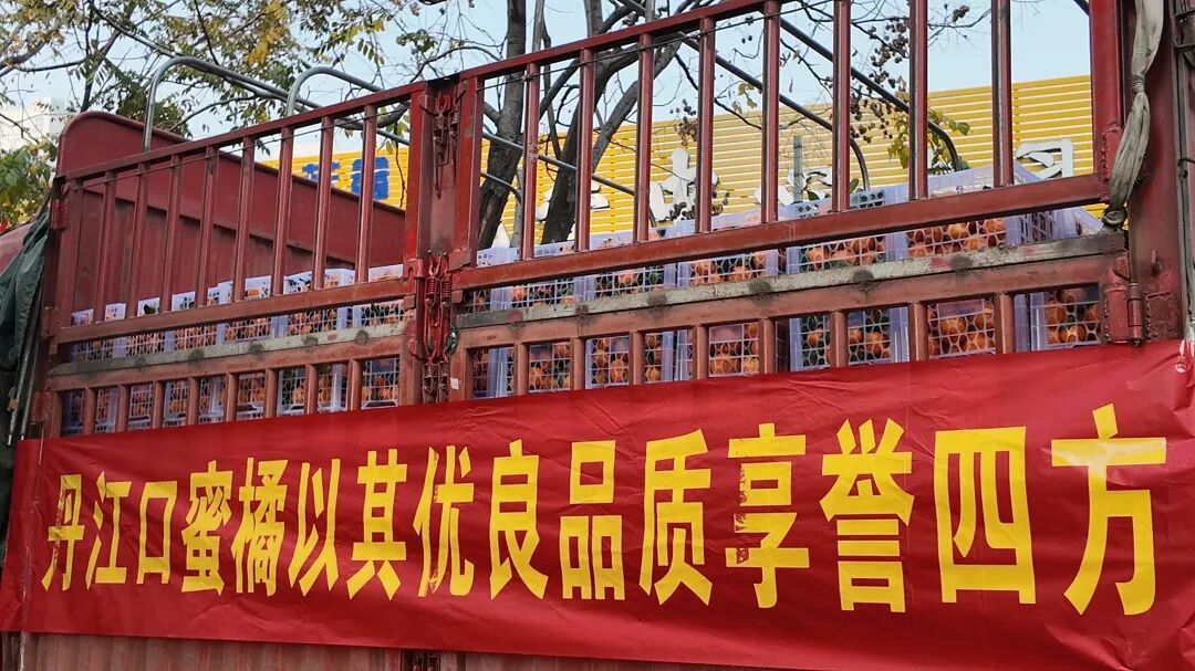 棋艺高超获嘉奖！丹江口武当蜜桔，送给襄阳、邓州的象棋高手们～