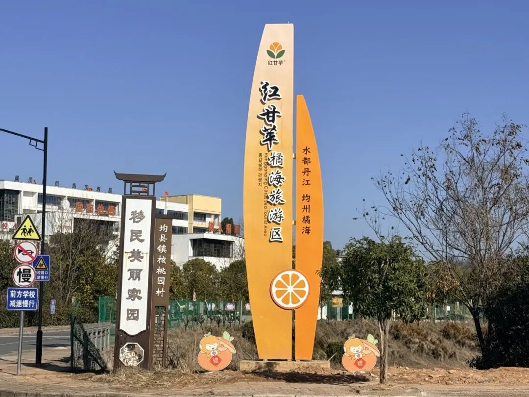 丹江口一种桔子上市！居然不论斤卖，而是论个卖！